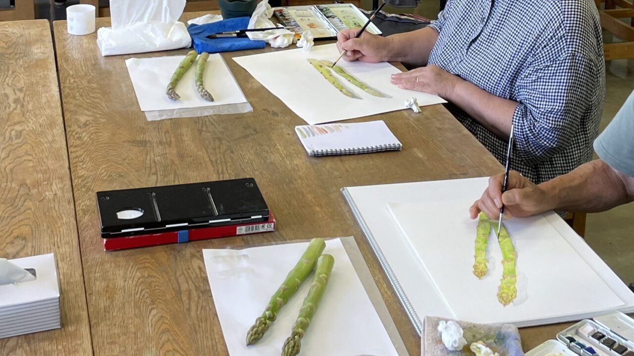 アスパラの水彩画